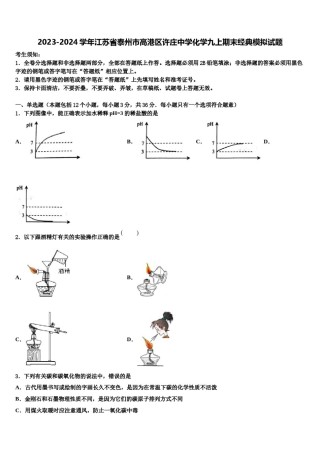 2023-2024学年江苏省泰州市高港区许庄中学化学九上期末经典模拟试题含解析.doc