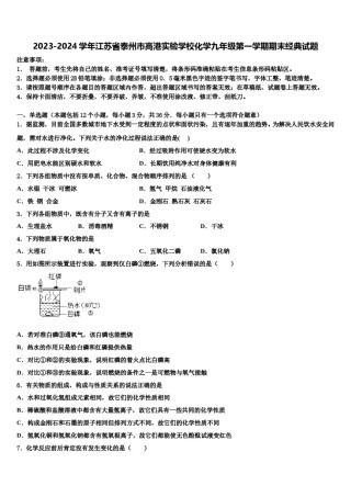 2023-2024学年江苏省泰州市高港实验学校化学九年级第一学期期末经典试题含解析.doc