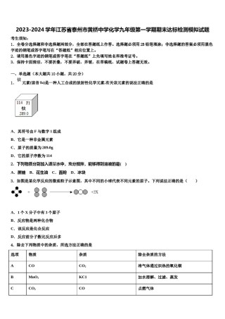 2023-2024学年江苏省泰州市黄桥中学化学九年级第一学期期末达标检测模拟试题含解析.doc
