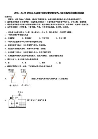 2023-2024学年江苏省泰州白马中学化学九上期末教学质量检测试题含解析.doc
