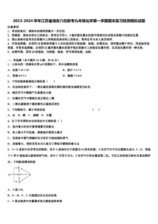 2023-2024学年江苏省海安八校联考九年级化学第一学期期末复习检测模拟试题含解析.doc