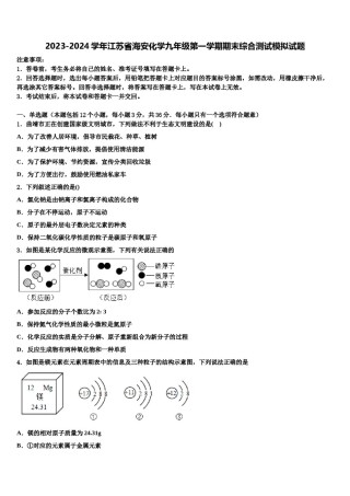 2023-2024学年江苏省海安化学九年级第一学期期末综合测试模拟试题含解析.doc