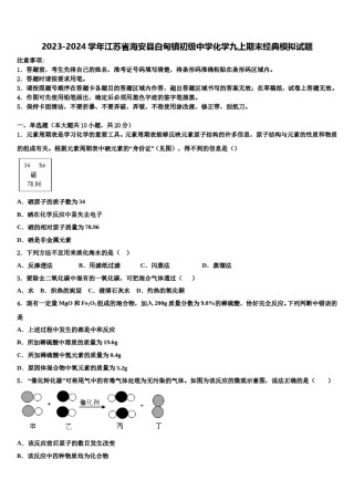 2023-2024学年江苏省海安县白甸镇初级中学化学九上期末经典模拟试题含解析.doc