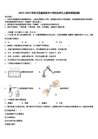 2023-2024学年江苏省海安市十学校化学九上期末预测试题含解析.doc