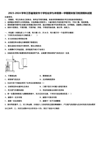2023-2024学年江苏省海安市十学校化学九年级第一学期期末复习检测模拟试题含解析.doc