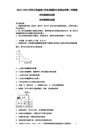 2023-2024学年江苏省海门市东洲国际九年级化学第一学期期中经典模拟试题含解析.doc