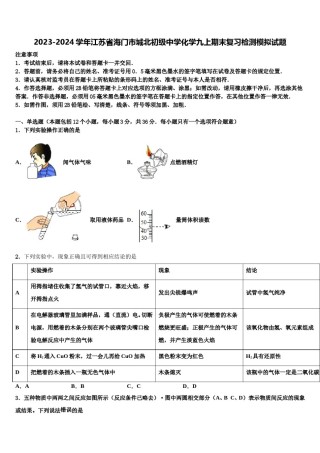 2023-2024学年江苏省海门市城北初级中学化学九上期末复习检测模拟试题含解析.doc