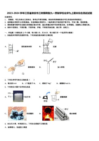 2023-2024学年江苏省淮安市三树镇蒋集九一贯制学校化学九上期末综合测试试题含解析.doc