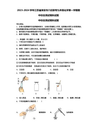 2023-2024学年江苏省淮安市八校联考九年级化学第一学期期中综合测试模拟试题含解析.doc
