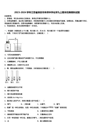 2023-2024学年江苏省淮安市朱坝中学化学九上期末经典模拟试题含解析.doc
