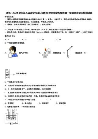 2023-2024学年江苏省淮安市泾口镇初级中学化学九年级第一学期期末复习检测试题含解析.doc