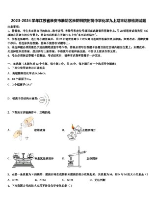 2023-2024学年江苏省淮安市淮阴区淮阴师院附属中学化学九上期末达标检测试题含解析.doc
