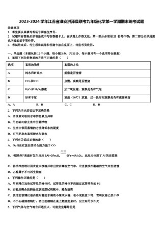 2023-2024学年江苏省淮安洪泽县联考九年级化学第一学期期末统考试题含解析.doc