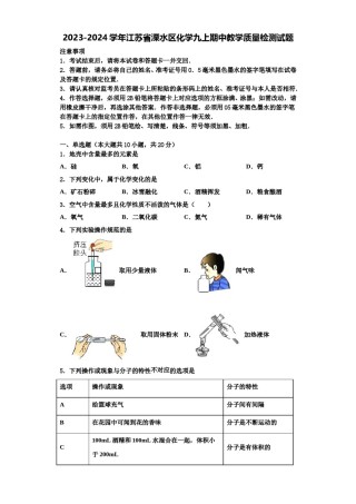 2023-2024学年江苏省溧水区化学九上期中教学质量检测试题含解析.doc
