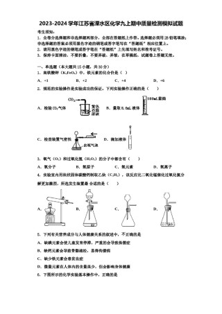2023-2024学年江苏省溧水区化学九上期中质量检测模拟试题含解析.doc
