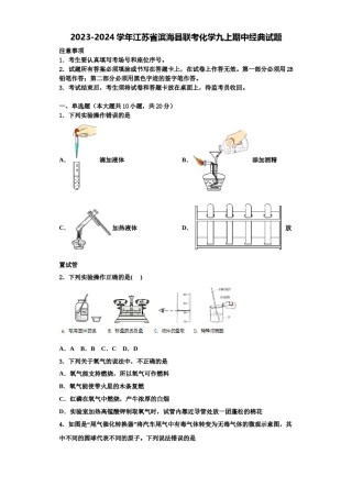 2023-2024学年江苏省滨海县联考化学九上期中经典试题含解析.doc