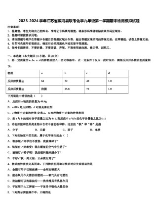 2023-2024学年江苏省滨海县联考化学九年级第一学期期末检测模拟试题含解析.doc