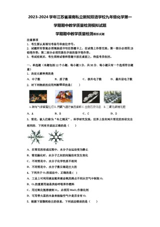 2023-2024学年江苏省灌南私立新知双语学校九年级化学第一学期期中教学质量检测模拟试题含解析.doc