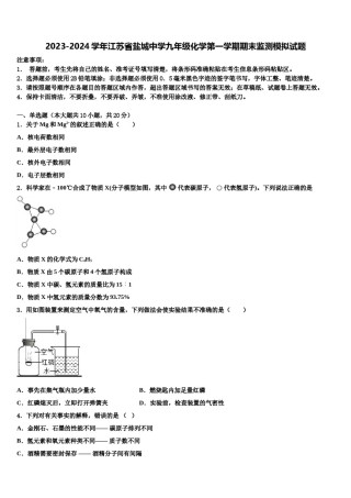 2023-2024学年江苏省盐城中学九年级化学第一学期期末监测模拟试题含解析.doc