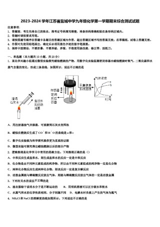 2023-2024学年江苏省盐城中学九年级化学第一学期期末综合测试试题含解析.doc
