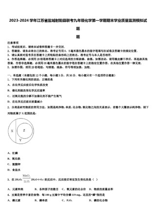 2023-2024学年江苏省盐城射阳县联考九年级化学第一学期期末学业质量监测模拟试题含解析.doc