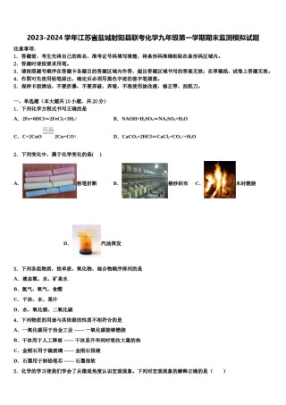 2023-2024学年江苏省盐城射阳县联考化学九年级第一学期期末监测模拟试题含解析.doc