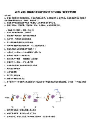 2023-2024学年江苏省盐城市东台市七校化学九上期末联考试题含解析.doc