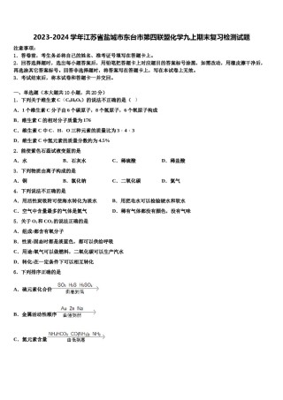 2023-2024学年江苏省盐城市东台市第四联盟化学九上期末复习检测试题含解析.doc