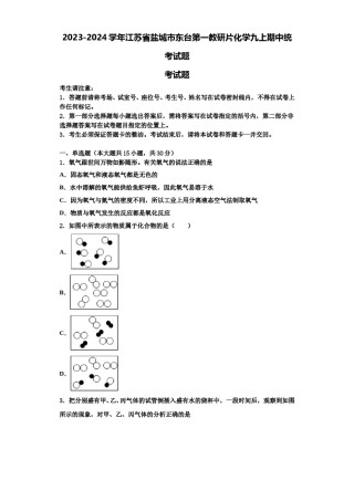 2023-2024学年江苏省盐城市东台第一教研片化学九上期中统考试题含解析.doc