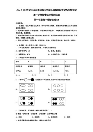 2023-2024学年江苏省盐城市亭湖区盐城景山中学九年级化学第一学期期中达标检测试题含解析.doc