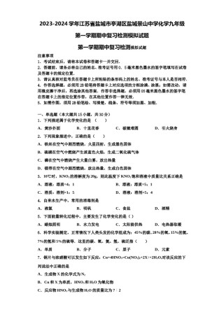 2023-2024学年江苏省盐城市亭湖区盐城景山中学化学九年级第一学期期中复习检测模拟试题含解析.doc