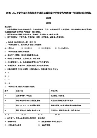 2023-2024学年江苏省盐城市亭湖区盐城景山中学化学九年级第一学期期末经典模拟试题含解析.doc