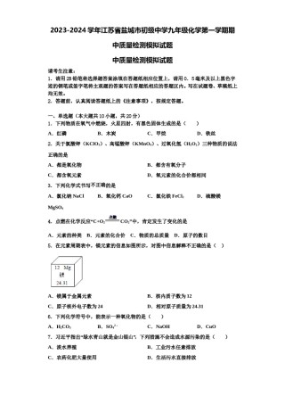 2023-2024学年江苏省盐城市初级中学九年级化学第一学期期中质量检测模拟试题含解析.doc