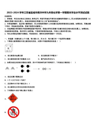 2023-2024学年江苏省盐城市南洋中学九年级化学第一学期期末学业水平测试试题含解析.doc