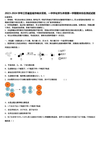 2023-2024学年江苏省盐城市响水实验、一中学化学九年级第一学期期末综合测试试题含解析.doc
