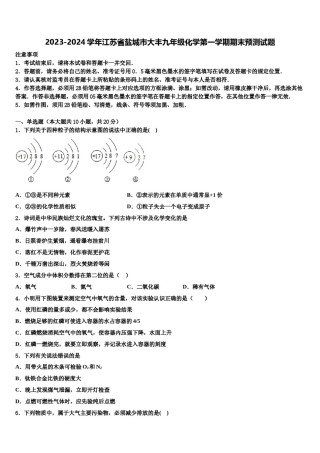 2023-2024学年江苏省盐城市大丰九年级化学第一学期期末预测试题含解析.doc