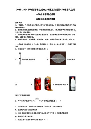 2023-2024学年江苏省盐城市大丰区三龙初级中学化学九上期中学业水平测试试题含解析.doc