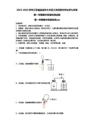 2023-2024学年江苏省盐城市大丰区三龙初级中学化学九年级第一学期期中质量检测试题含解析.doc