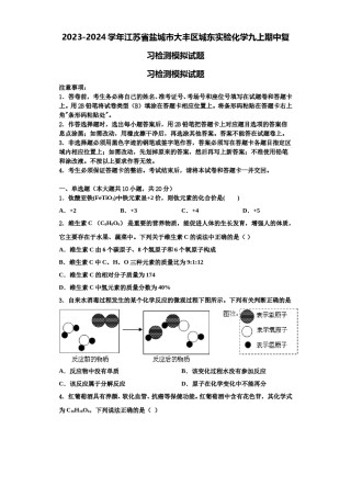 2023-2024学年江苏省盐城市大丰区城东实验化学九上期中复习检测模拟试题含解析.doc