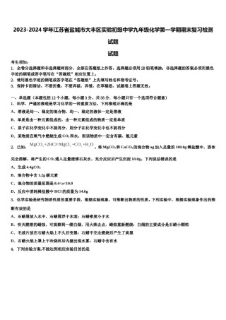 2023-2024学年江苏省盐城市大丰区实验初级中学九年级化学第一学期期末复习检测试题含解析.doc