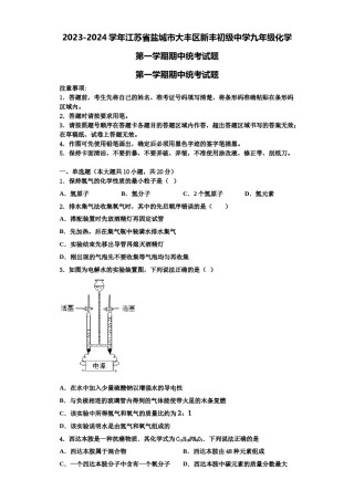 2023-2024学年江苏省盐城市大丰区新丰初级中学九年级化学第一学期期中统考试题含解析.doc