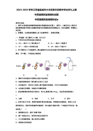 2023-2024学年江苏省盐城市大丰区新丰初级中学化学九上期中质量跟踪监视模拟试题含解析.doc