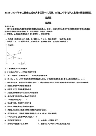 2023-2024学年江苏省盐城市大丰区第一共同体、射阳二中学化学九上期末质量跟踪监视试题含解析.doc