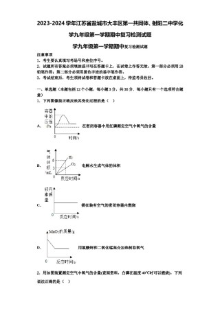 2023-2024学年江苏省盐城市大丰区第一共同体、射阳二中学化学九年级第一学期期中复习检测试题含解析.doc