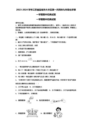 2023-2024学年江苏省盐城市大丰区第一共同体九年级化学第一学期期中经典试题含解析.doc