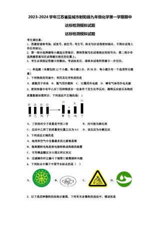 2023-2024学年江苏省盐城市射阳县九年级化学第一学期期中达标检测模拟试题含解析.doc