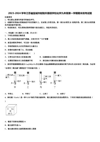 2023-2024学年江苏省盐城市射阳外国语学校化学九年级第一学期期末统考试题含解析.doc