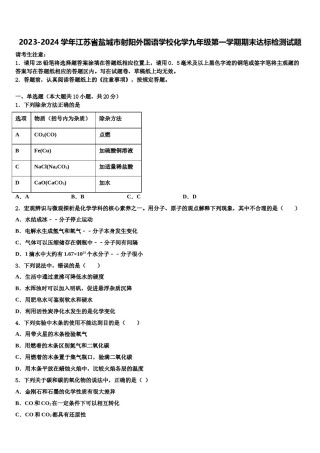 2023-2024学年江苏省盐城市射阳外国语学校化学九年级第一学期期末达标检测试题含解析.doc