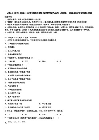 2023-2024学年江苏省盐城市射阳实验中学九年级化学第一学期期末考试模拟试题含解析.doc