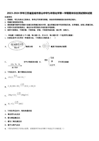 2023-2024学年江苏省盐城市景山中学九年级化学第一学期期末综合测试模拟试题含解析.doc